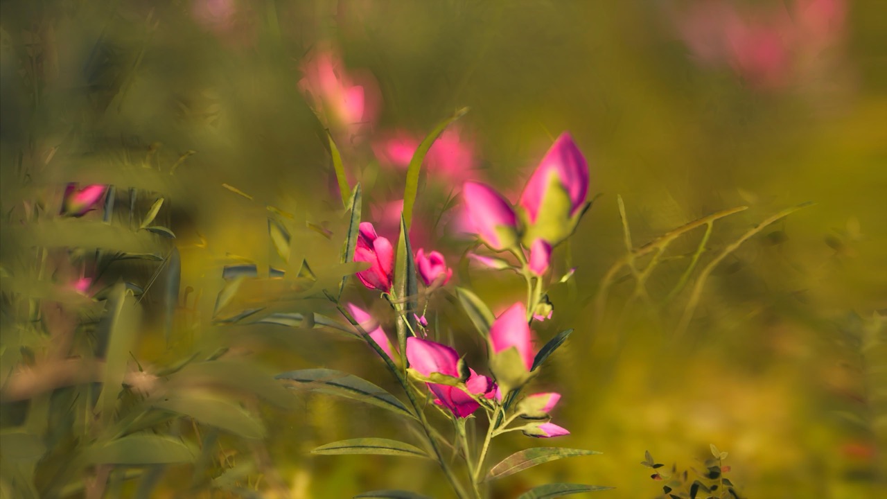 Studies on Breaking Immersion